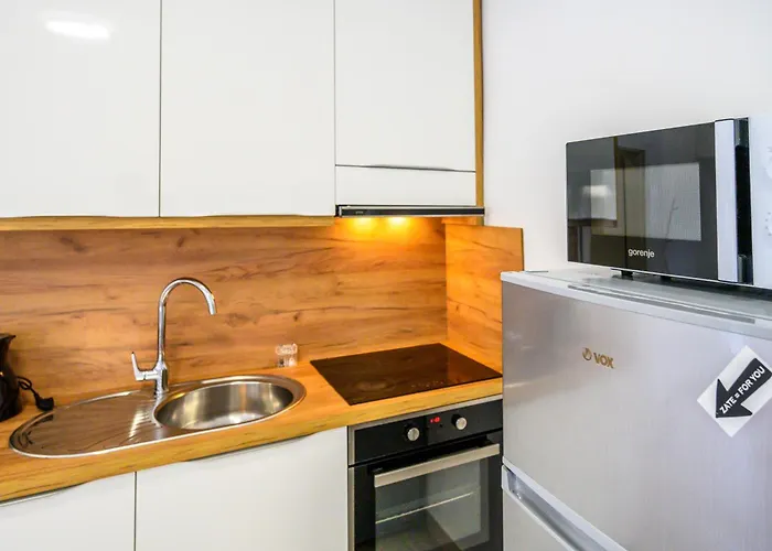 The Urban Loft شقة ليوبليانا